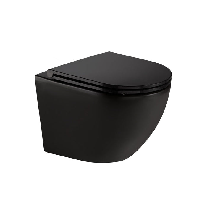 Fienza Koko Wall Hung Toilet Suite - R&T Cistern - Matte Black