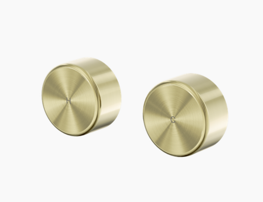 Nero Serenity Wall Top Assembly With Metal Handle - Brushed Gold