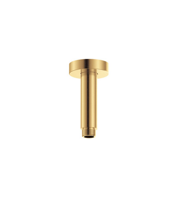 Fienza Round Shower Dropper - 100mm - Brushed Urban Brass