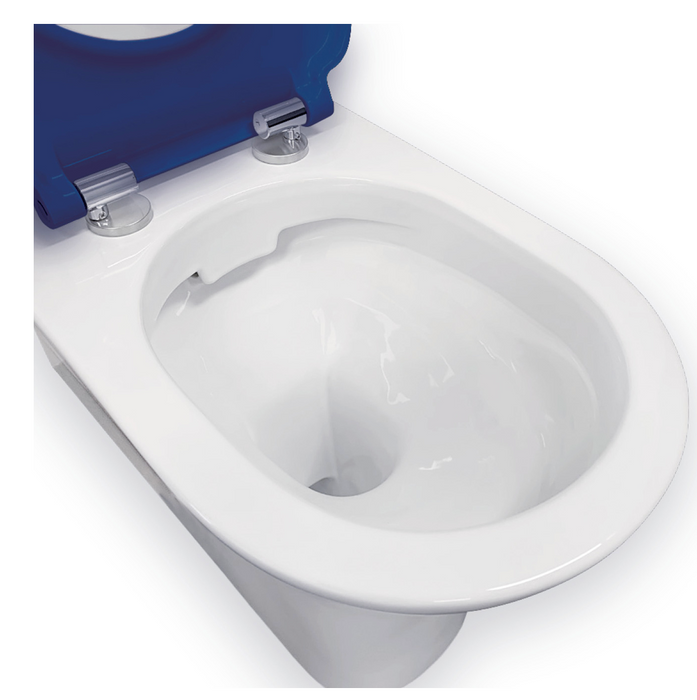 Fienza Delta Care Back To Wall Toilet Suite  - S Trap