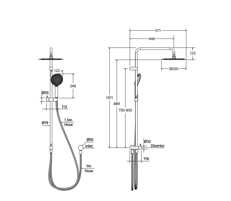 Fienza Kaya Retrofit Twin Shower  - Chrome